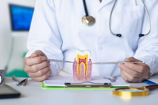 Best Emergency Dental Care for Trauma or Injury in Carnot Moon, PA